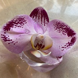 Meet your Posher, Mei